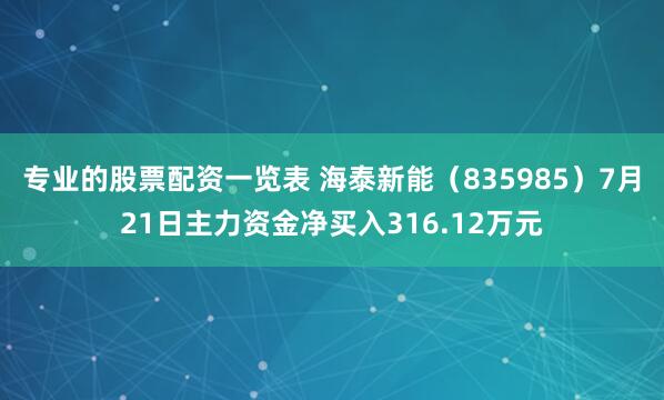 专业的股票配资一览表 海泰新能（835985）7月21日主力资金净买入316.12万元
